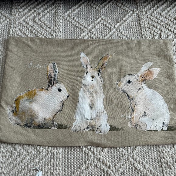 Pottery Barn Accents Pottery Barn Rabbit Pillow Poshmark